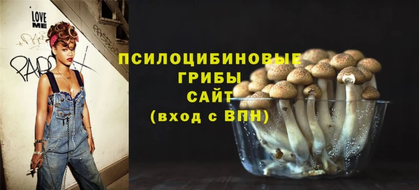 СК Богородицк