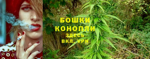 2c-b Богородск