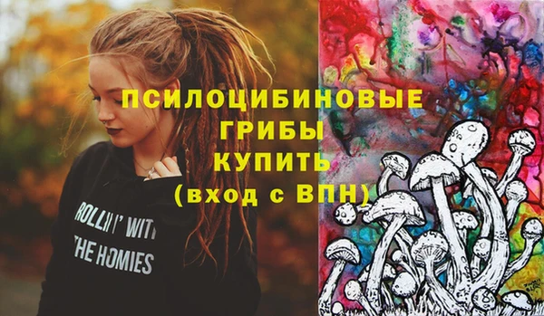 apvp Осташков