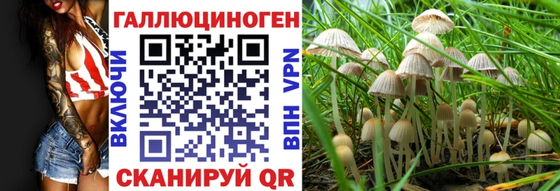 Галлюциногенные грибы MAGIC MUSHROOMS  kraken ТОР  Красный Холм  купить наркоту 